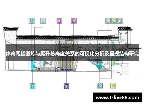 体育爬楼锻炼与爬升总高度关系的可视化分析及呈现结构研究