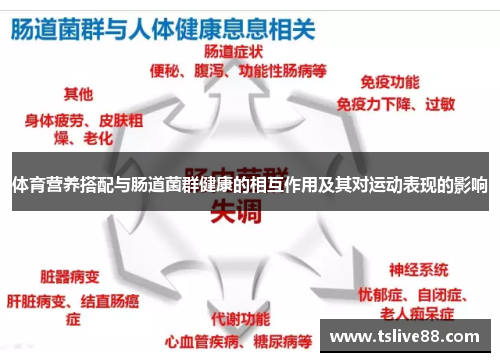 体育营养搭配与肠道菌群健康的相互作用及其对运动表现的影响