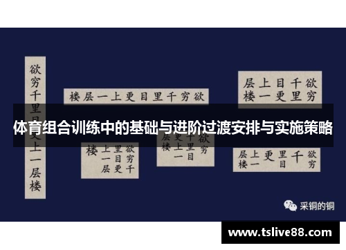 体育组合训练中的基础与进阶过渡安排与实施策略